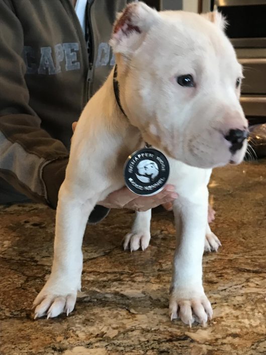 BARON