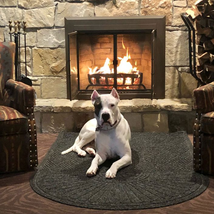 Nitro O’Brien cozy by the fireplace