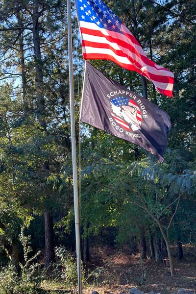 flag-pole-with-american-flag-on-top-and-schaffer-ridge-dogo-kennel-branded-flag-below